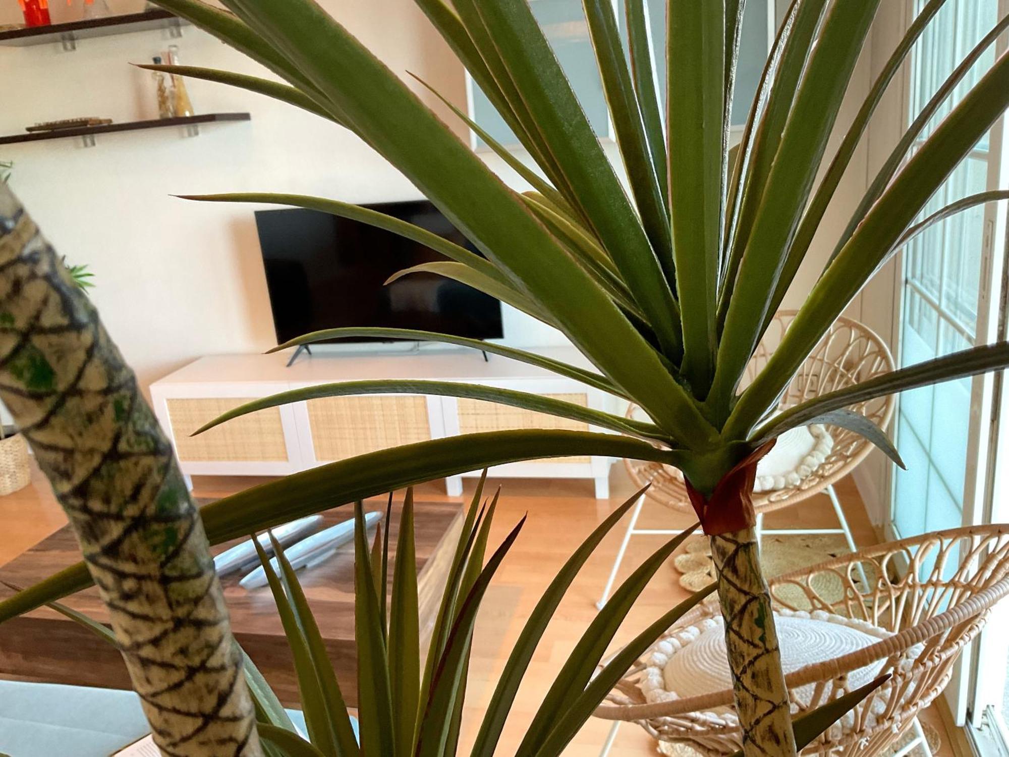 Ks Golf Playa - Kaleria Suites 알메리아 외부 사진